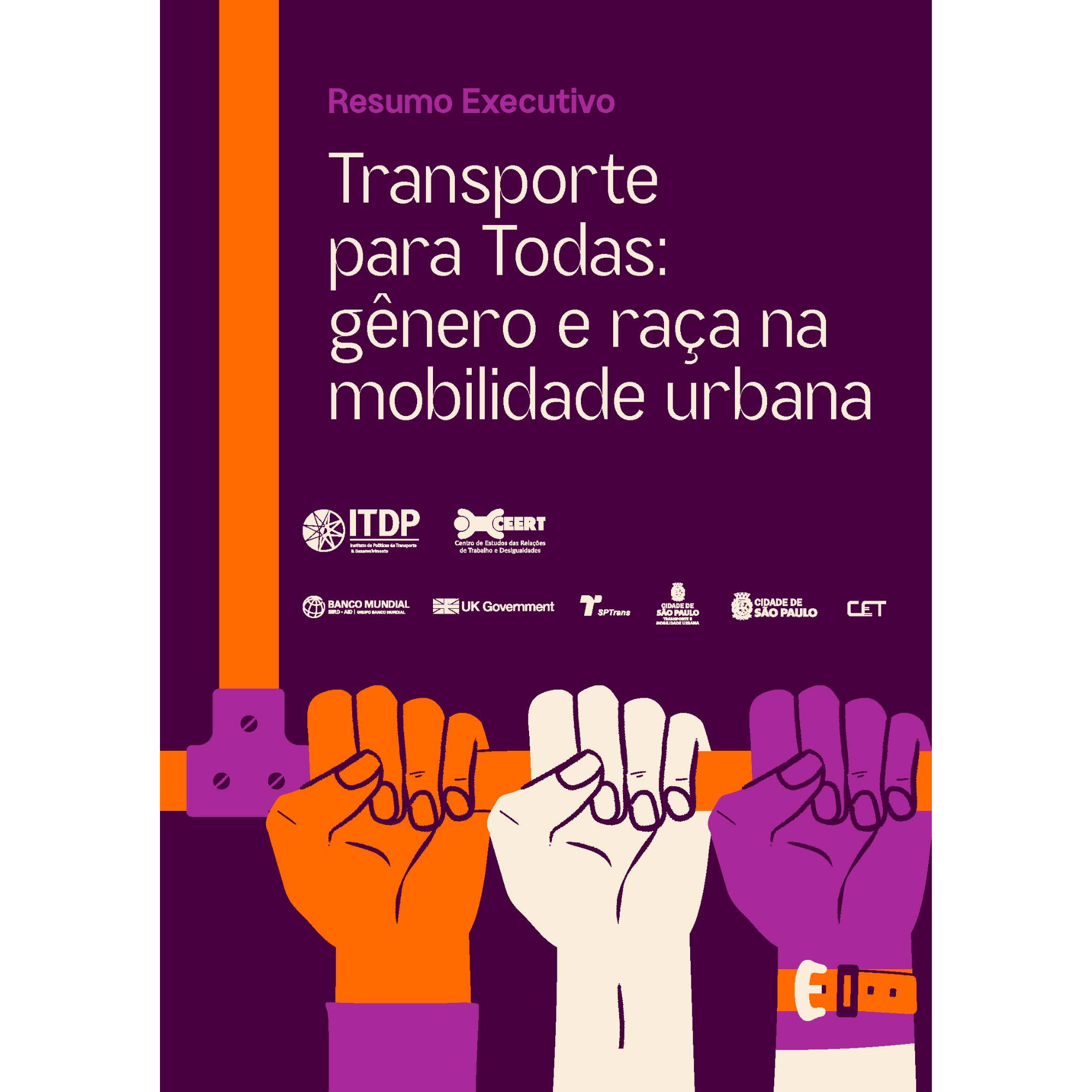 Transporte para Todas: gênero e raça na mobilidade urbana – Resumo executivo