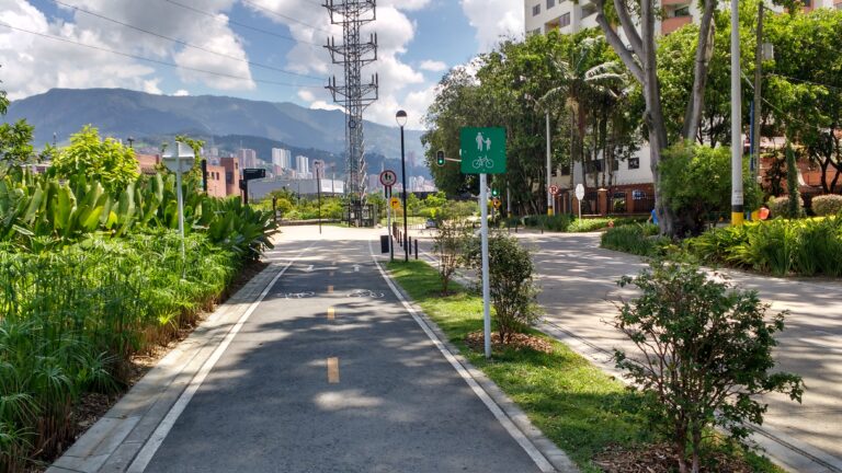 ITDP realiza capacitação para gestores públicos sobre a integração de estratégias de mobilidade urbana e Soluções Baseadas na Natureza 